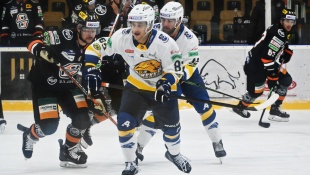 HC 19 Humenné - Košice 4:1