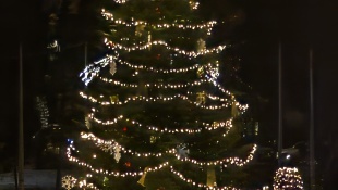 Rozsvietenie vianočného stromčeka