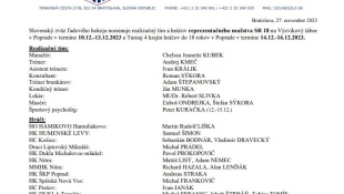 HK Humenské Levy reprezentačne