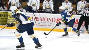 HC 19 Humenné - Sp. Nová Ves 6:3