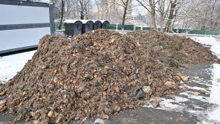 Spracovanie kuchynského odpadu... CSC kontajner