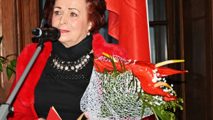 Cena Vihorlatského múzea; E. Minichová