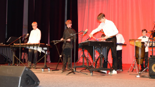Výročný koncert SZUŠ Via arto (15. narodeniny)