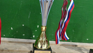 Slovenský pohár v nohejbale