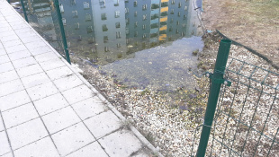 Prírodné jazierko na sídlisku (zničené oplotenie)