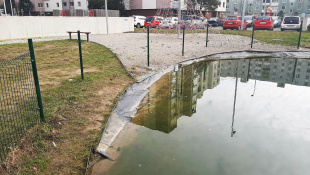 Prírodné jazierko na sídlisku (zničené oplotenie)