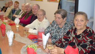 MDŽ - Zariadenie pre seniorov