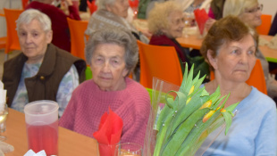 MDŽ - Zariadenie pre seniorov