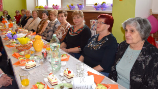 MDŽ - DC Laborecká