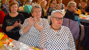 MDŽ - DC Laborecká