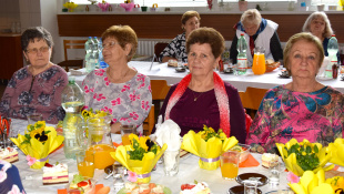 MDŽ - DC Laborecká