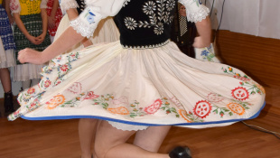 MDŽ - DC Laborecká