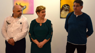 Finisáž Divočina od Silvie Gojdičovej