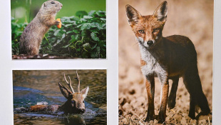 Výstava fotografií "Mojimi očami" - Peter Šimurda