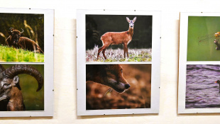 Výstava fotografií "Mojimi očami" - Peter Šimurda