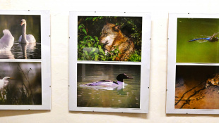 Výstava fotografií "Mojimi očami" - Peter Šimurda