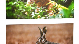 Výstava fotografií "Mojimi očami" - Peter Šimurda
