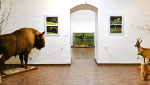 Výstava fotografií "Mojimi očami" - Peter Šimurda