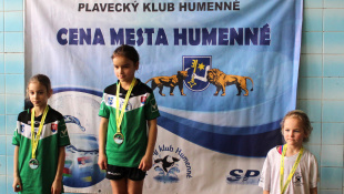 24. Cena mesta Humenné