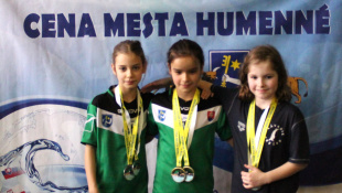 24. Cena mesta Humenné