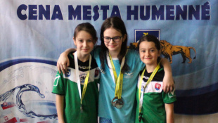 24. Cena mesta Humenné