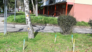 Rekonštrukcia potrubí - výrub drevín