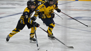 Gerza cup 2024