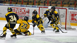 Gerza cup 2024