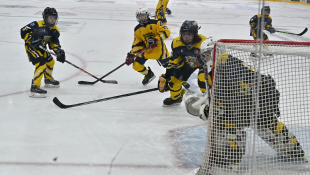 Gerza cup 2024