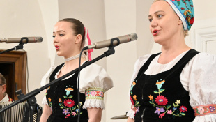 15. Koncert rodiny ZUŠ Petra Breinera