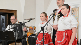 15. Koncert rodiny ZUŠ Petra Breinera