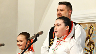 15. Koncert rodiny ZUŠ Petra Breinera