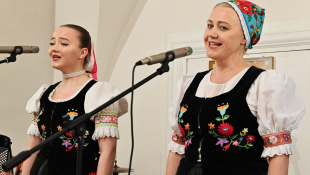 15. Koncert rodiny ZUŠ Petra Breinera