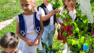 Stavanie mája v MŠ Dargovských hrdinov