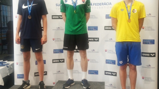Jarné Majstrovstvá Východoslovenskej oblasti v plávaní (1. kolo, Poprad)
