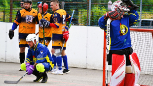 HBK Levíčatá Humenné - Trebišov 6:3 / štvrťfinále 3b HbL Východ
