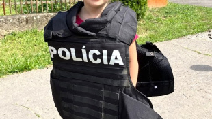 MDD v MŠ Mierová