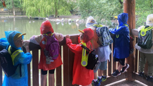 MŠ Štefánikova v košickej ZOO / DinoPark