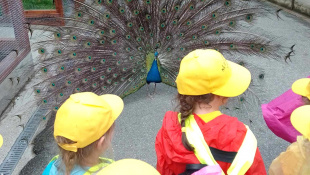 MŠ Štefánikova v košickej ZOO / DinoPark
