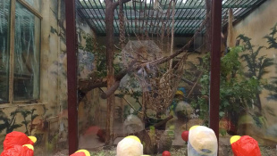 MŠ Štefánikova v košickej ZOO / DinoPark