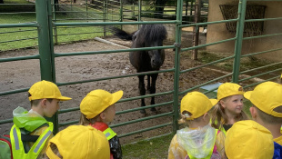 MŠ Štefánikova v košickej ZOO / DinoPark