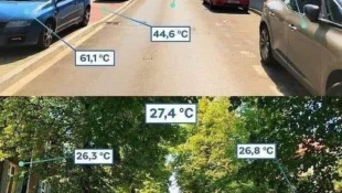 Ochladenie v horúčavách