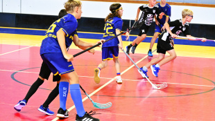 Starší žiaci: FBK Humenné - Snina 13:2