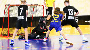 Starší žiaci: FBK Humenné - Snina 13:2