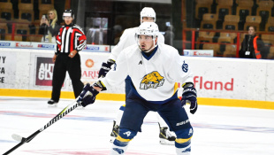 Prípravný hokej: HC 19 Humenné .- Trebišov