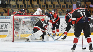 HC 19 Humenné - Trnava 8:0