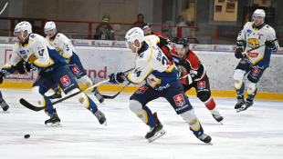 HC 19 Humenné - Trnava 8:0