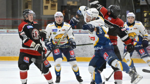 HC 19 Humenné - Trnava 8:0