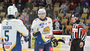 HC 19 Humenné - Trnava 8:0
