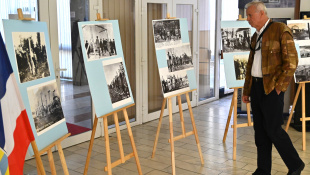 Projekt Rusíni Humenného (tri výstavy)